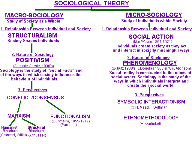 what are the 3 major theories of social science