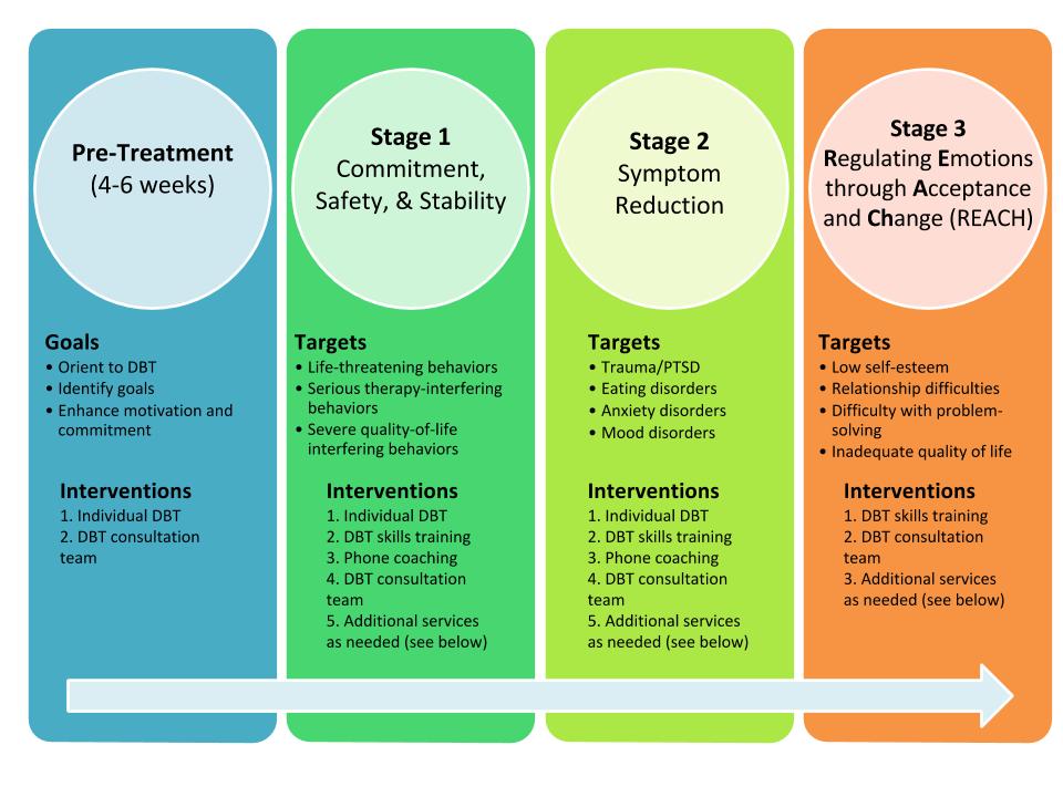 Dialectical Behavioral Therapy